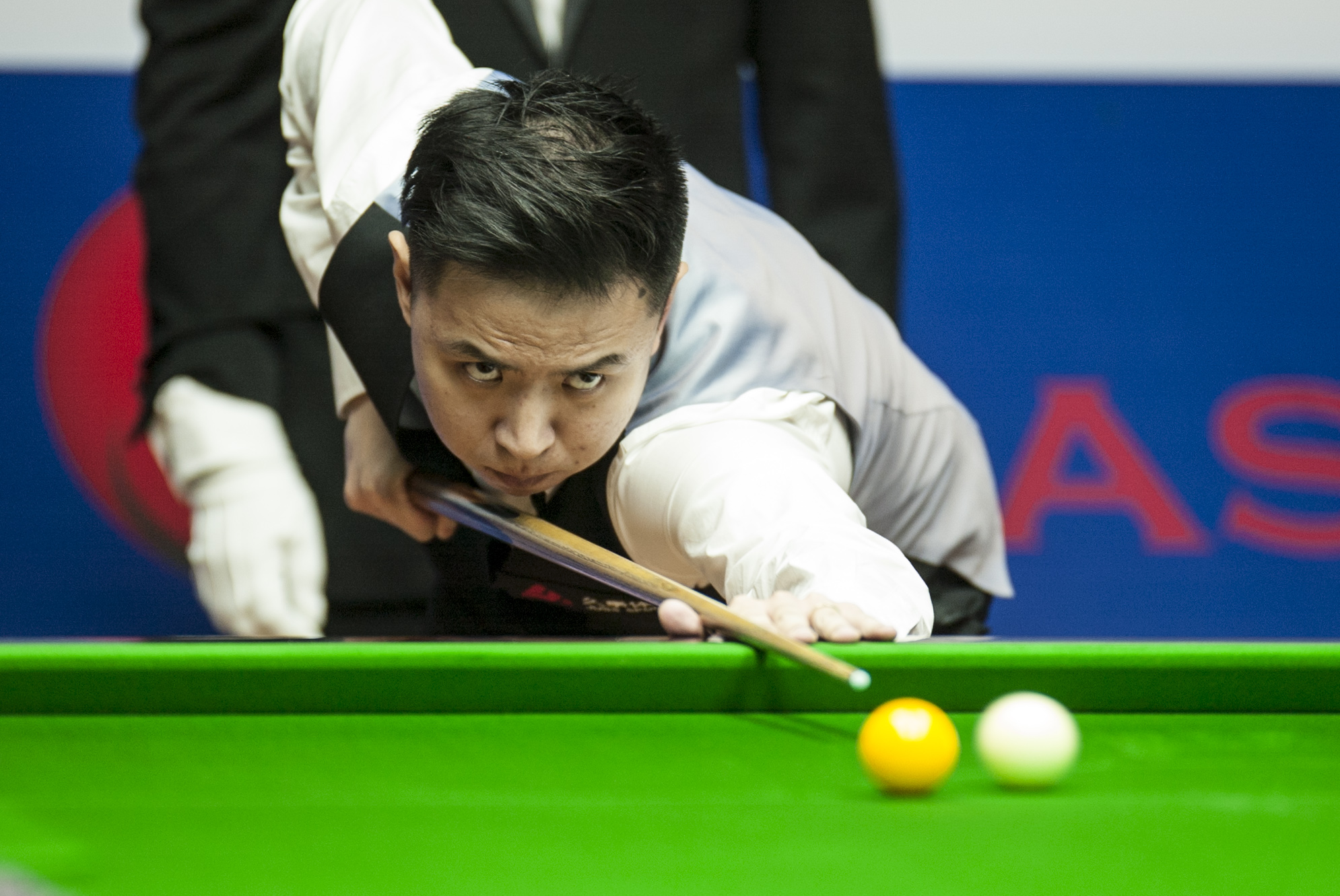 的数据表现 的数据表现