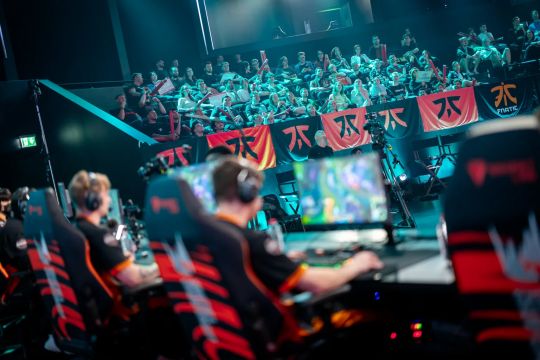 些全年收入 些全年收入