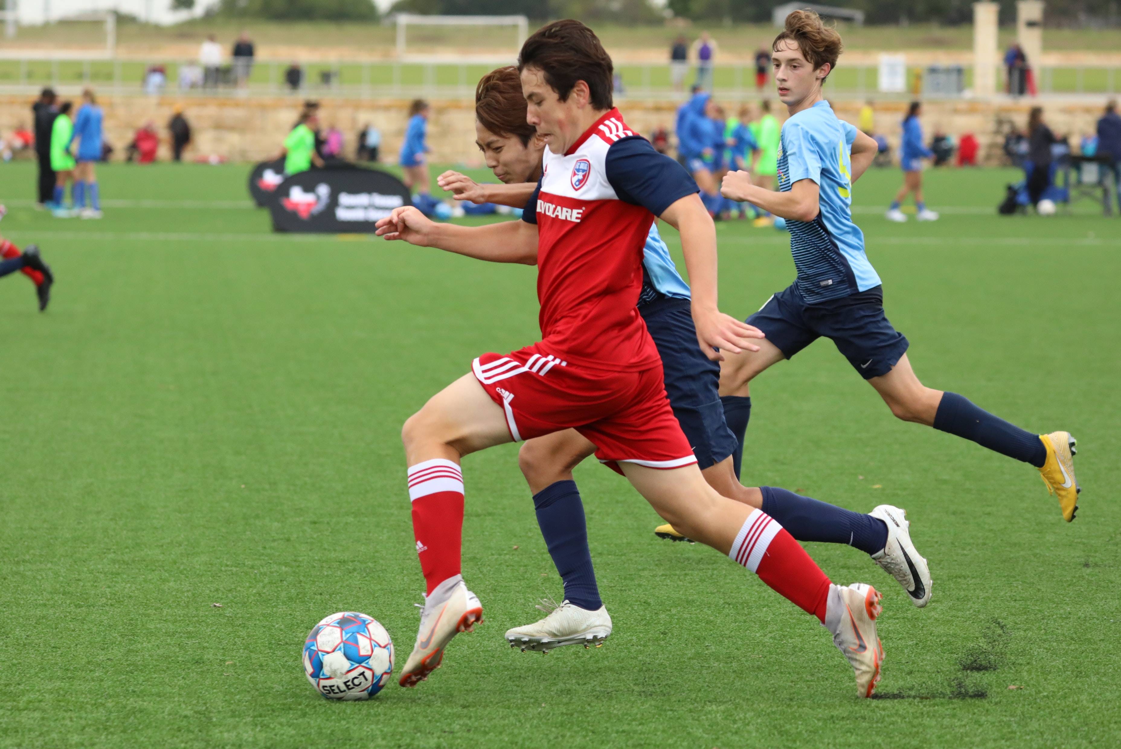贝里内利正 贝里内利正
