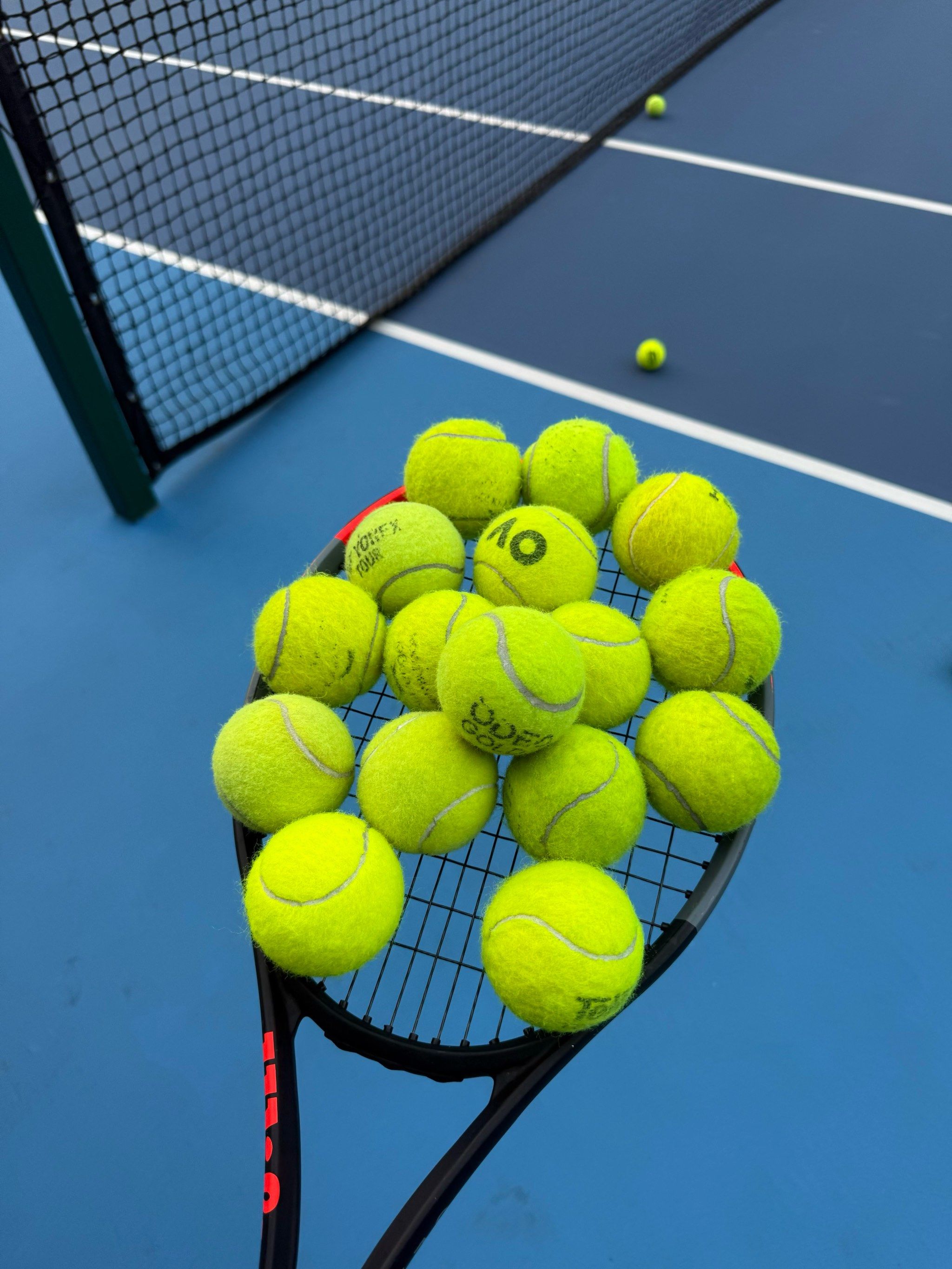 正在崭露头 正在崭露头